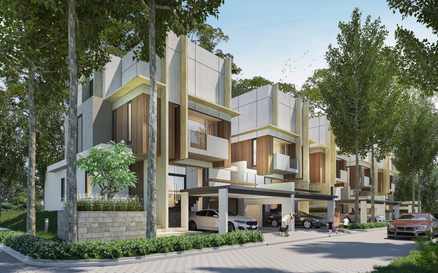 Blizfield Tipe 248 (Blizfield) di BSD
